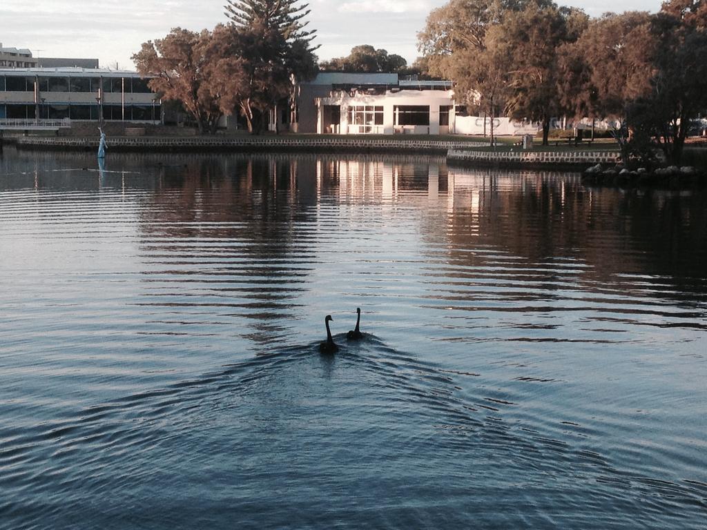 Mandurah Ocean Marina Chalets Luaran gambar